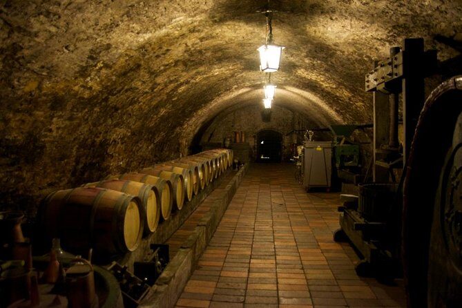 Wine Tasting Day Trip from Prague to Melnik - Exploring Mlník: A Taste of Royal Bohemia with Wine and History