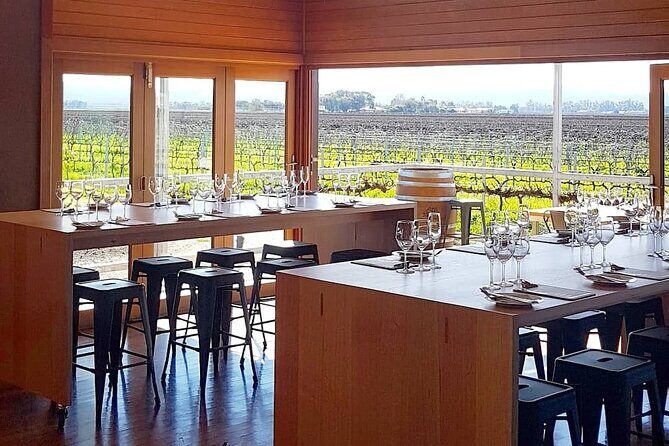 Wine Tasting Experience - Key Points