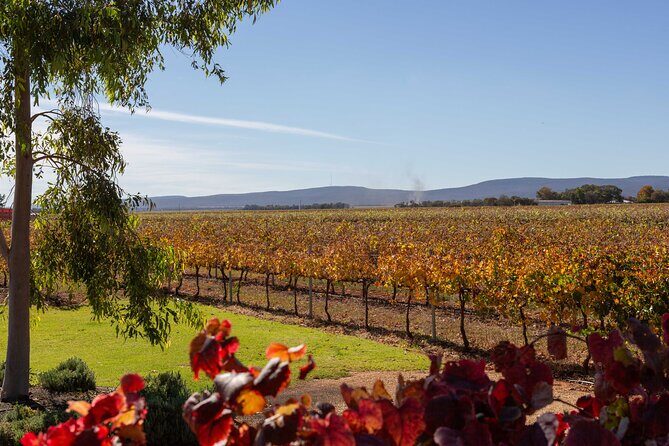 Wine Tasting Experience - Final Thoughts