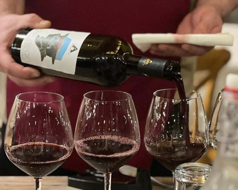Wine Tasting Experience at Alpeta Winery - A Detailed Look at What to Expect