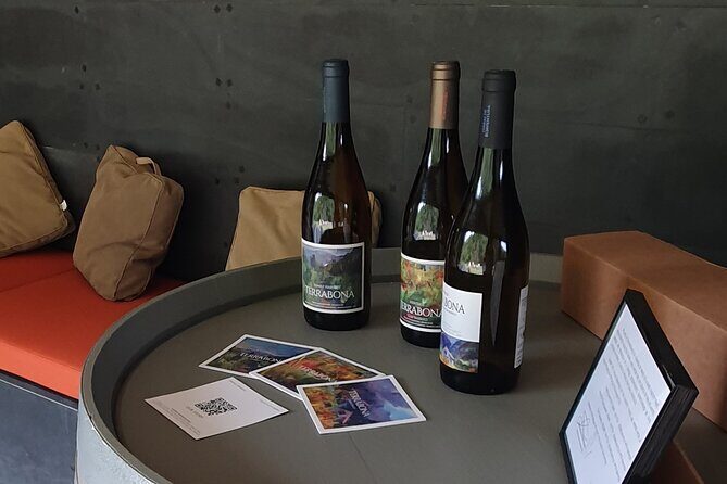 Wine Tasting Experience in Boaventura, Madeira North Coast - A Detailed Look at the Wine Tasting Experience in Boaventura