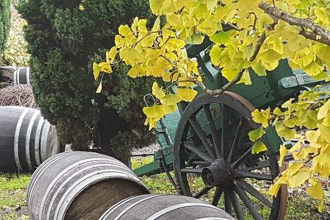 Wine Tasting in Frascati from Rome - Who Should Consider This Tour?