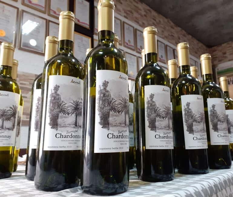 Wine Tasting in Herceg Novi - Final Thoughts: Who Will Love This?