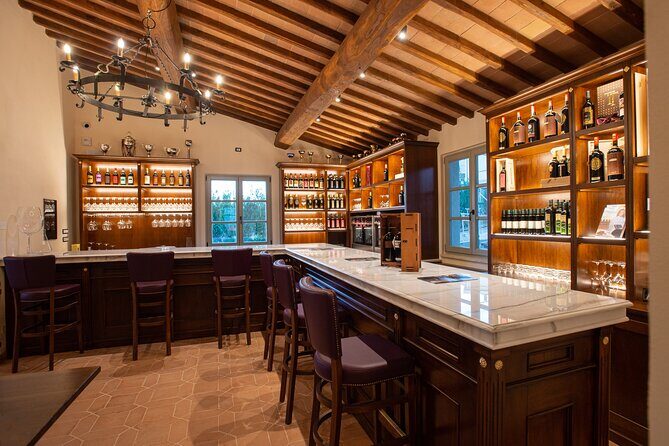 Wine Tasting in Historic Open-Lounge room - Discover the Charm of San Gimignano with a Unique Wine Tasting Experience