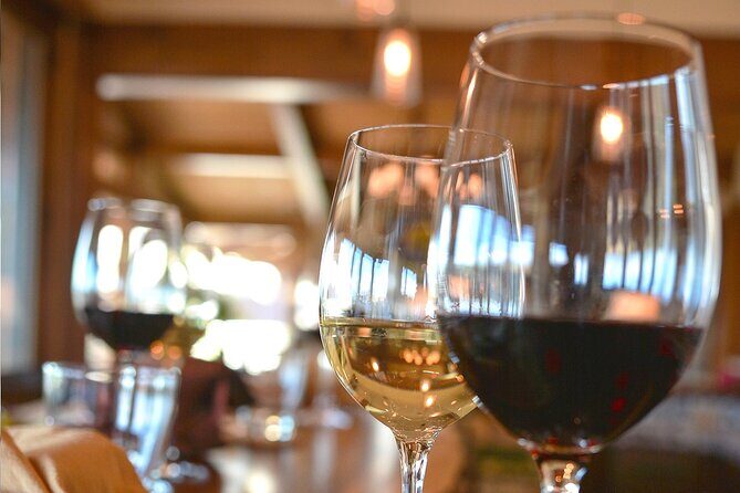 Wine Tasting in Historic Open-Lounge room - Key Points