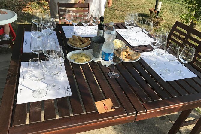 Wine tasting in Lucca "at home" with expert sommelier - 5 wines - Final Thoughts: Is This Experience for You?