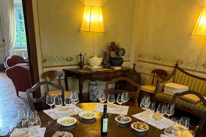 Wine tasting in Lucca with sommelier - The great wines of Tuscany - A Deep Dive into the Lucca Wine Tasting Experience