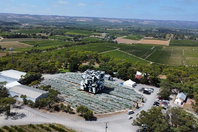 Wine Tasting in McLaren Vale - Authentic Experiences and What Travelers Say