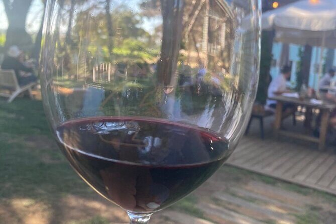 Wine Tasting in McLaren Vale - Who Should Consider This Tour?