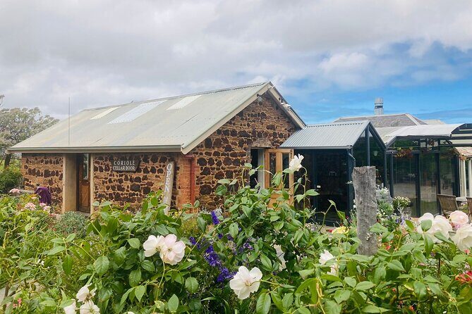 Wine Tasting in McLaren Vale - The Sum Up: Is This Your Wine Adventure?