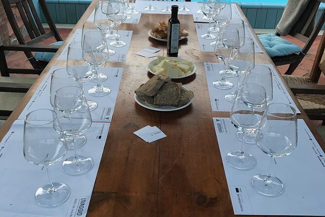 Wine tasting in Pisa with sommelier - The great wines of Tuscany - Exploring the Details of the Wine Tasting Experience