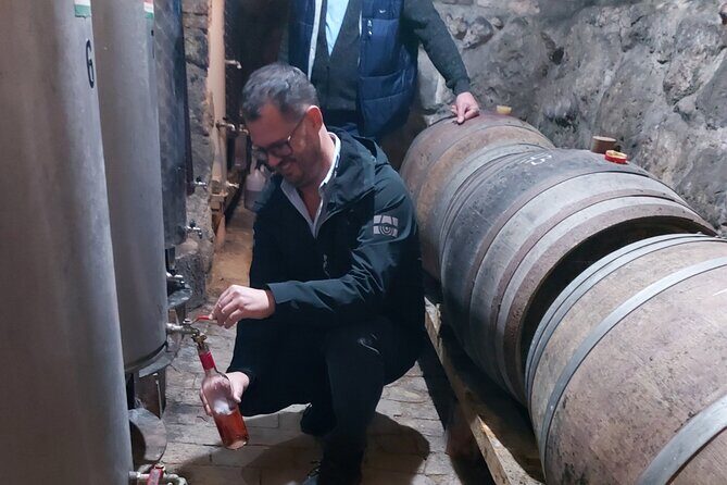 Wine Tasting in the Countryside from Budapest - Wine Tasting in the Countryside from Budapest: A Genuine Taste of Hungarian Charm