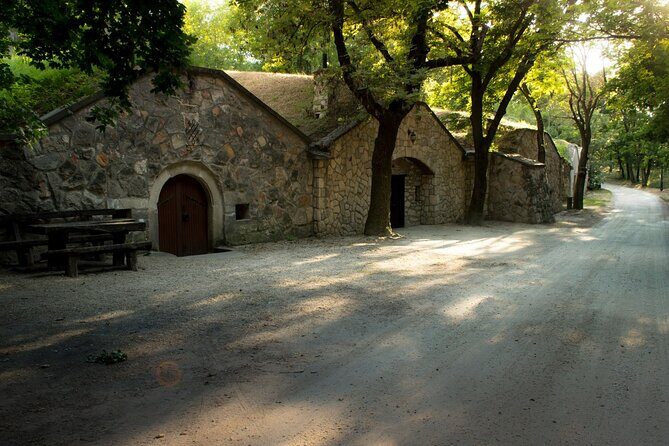Wine Tasting in the Countryside from Budapest - The Sum Up: Who Will Love This Tour?
