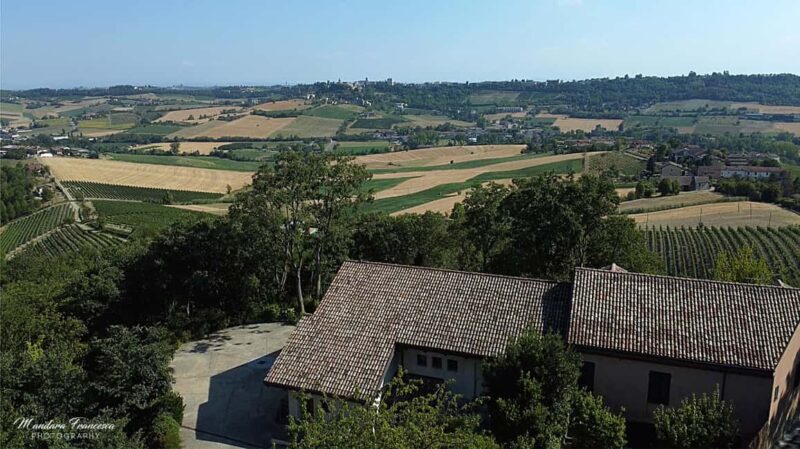 Wine Tasting in the Heart of Monferrato - Discovering Grignolino - A Detailed Breakdown of the Tour