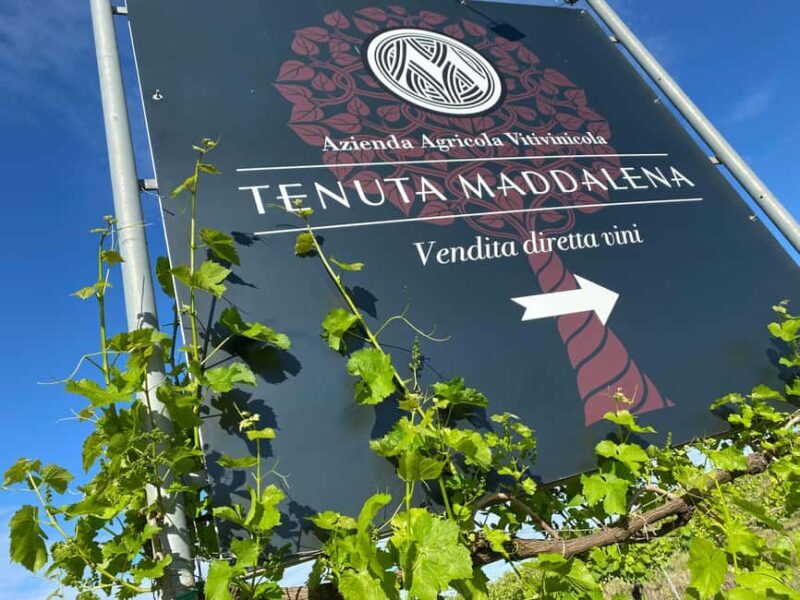 Wine tasting in the morainic hills at Tenuta Maddalena - Exploring the Experience at Tenuta Maddalena