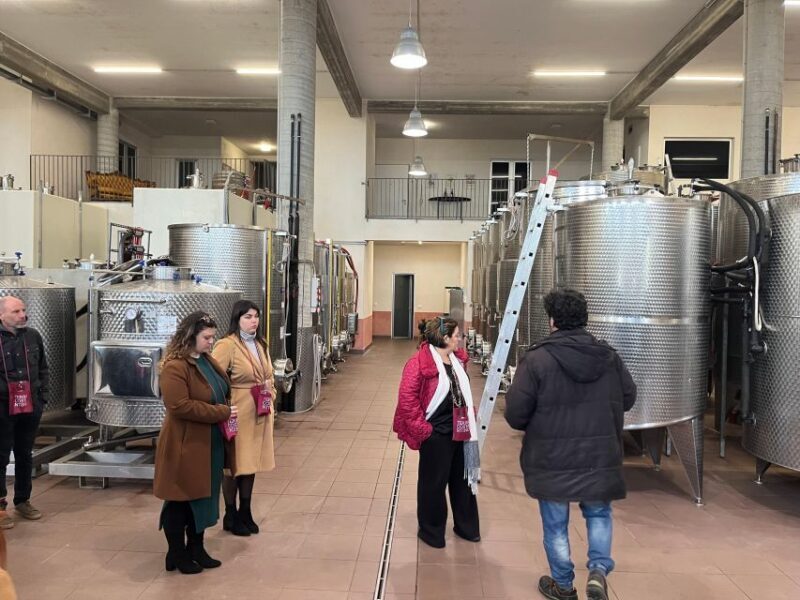 Wine Tasting in the South Slope of Etna - Discovering the Secrets of Etna’s South Slope