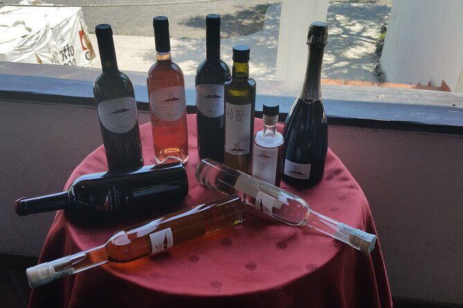 Wine tasting in the Vesuvius National Park - A Day of Wine, Views, and Volcanic Soil in Vesuvius National Park