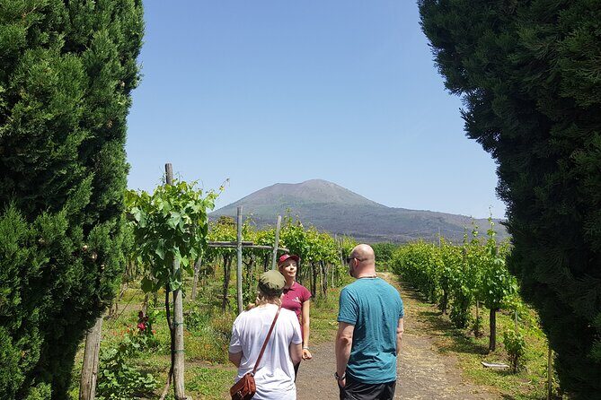 Wine tasting in the Vesuvius National Park - Key Points