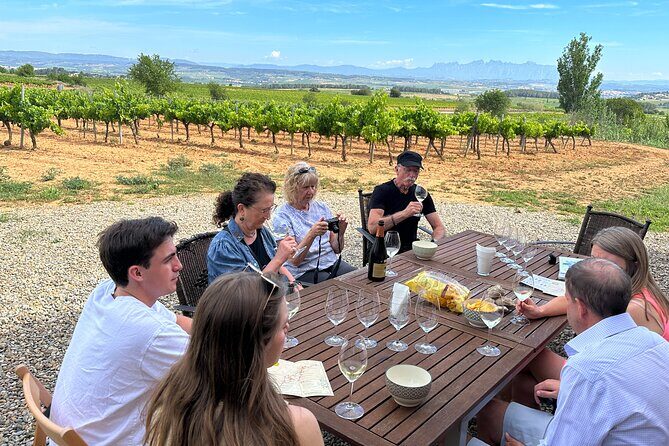 Wine Tasting in Three Boutique Wineries Tour - Max 8 people - Introduction: An Authentic Taste of Catalonia’s Wineries