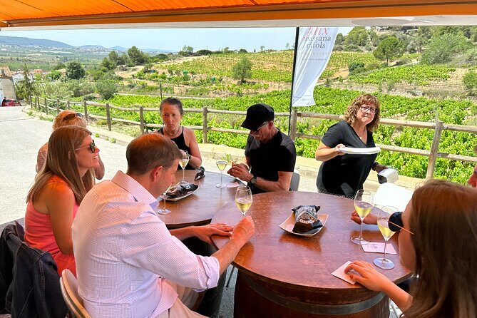 Wine Tasting in Three Boutique Wineries Tour - Max 8 people - Who Is This Tour Perfect For?