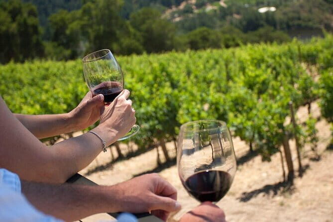Wine tasting in TWO family wineries around Florence - Discover the Charm of Tuscany: Wine Tasting at Two Family Wineries Near Florence