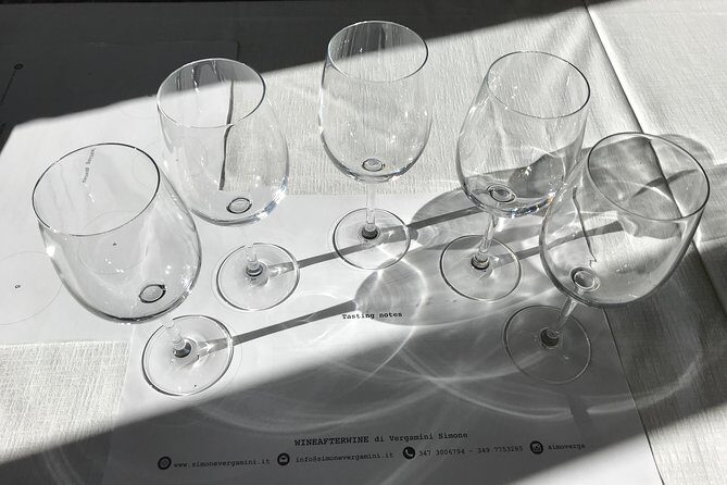 Wine tasting in Versilia with sommelier - 5 wines and local products - A Detailed Look at the Experience