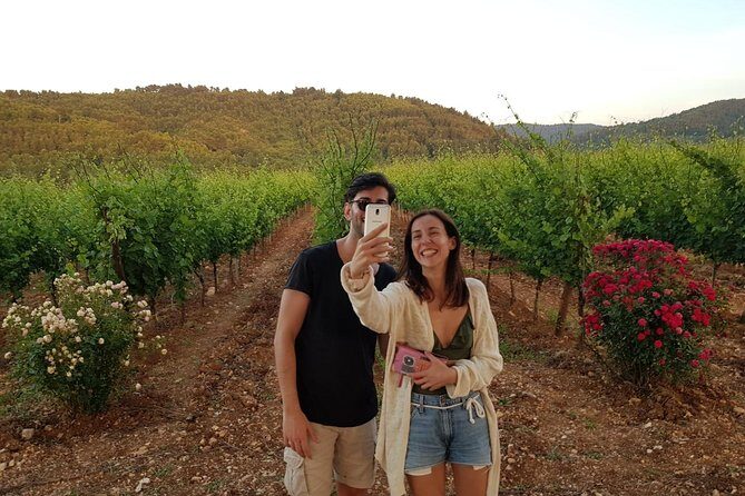 Wine tasting in Vieste - Key Points