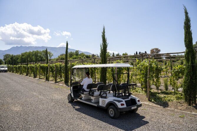 Wine Tasting Including Lunch - A Detailed Look at the Tour Experience