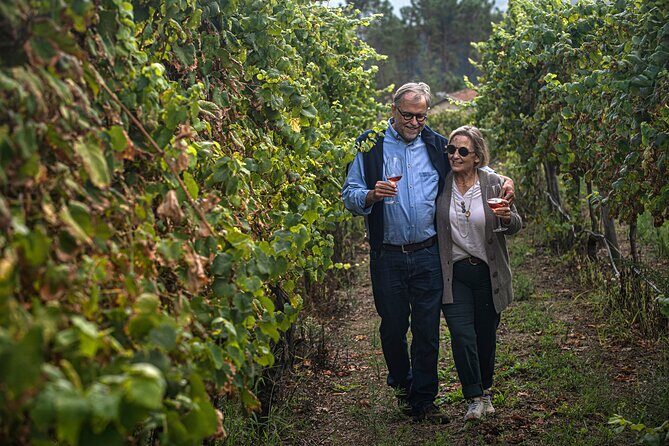 Wine Tasting & Lunch from Porto | Quinta de Santa Cristina - FAQ