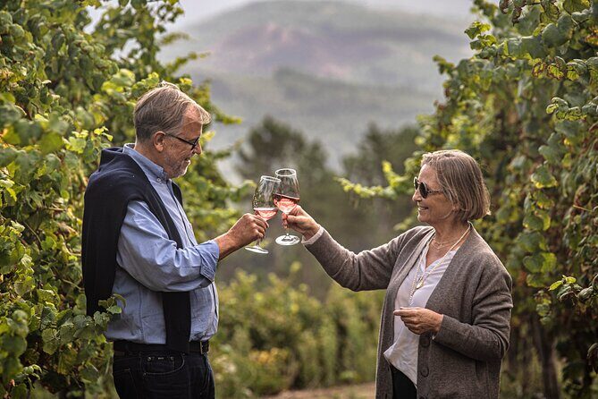 Wine Tasting & Lunch | Quinta de Santa Cristina Vinho Verde - Tasting the Region’s Finest Wines