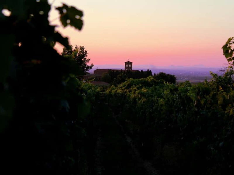 Wine Tasting & Medieval Town Visit at Castelli Romani - A Practical and Authentic Taste of Castelli Romani: Wine and Medieval Charm