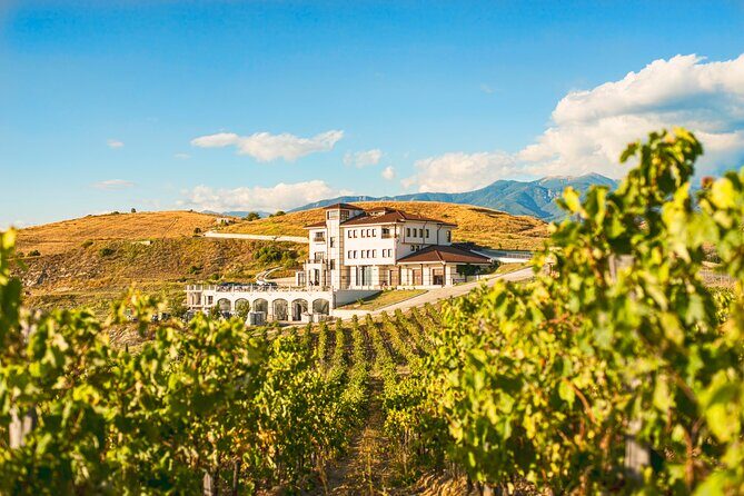 Wine Tasting & More in Villa Melnik  One of the Worlds Best Wineries - A Detailed Look at the Villa Melnik Wine Tasting Tour
