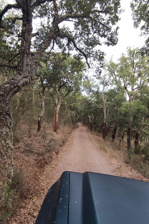 Wine Tasting Off-Road Tour - Final Words