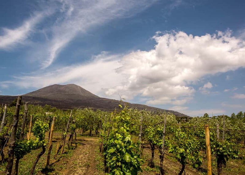 Wine Tasting on Mt. Vesuvius - Key Points
