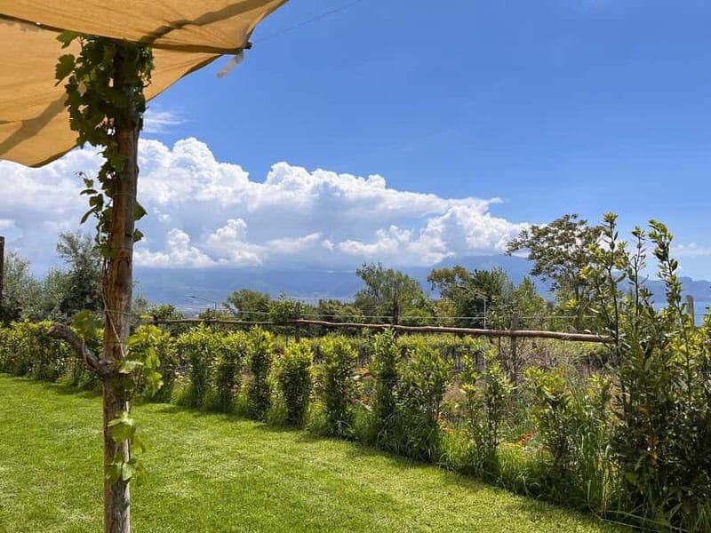 Wine Tasting on Mt. Vesuvius - Final Thoughts