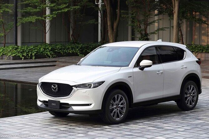 Wine Tasting, Private Transportation in the Tri-Cities WA - Who Should Consider This Tour?