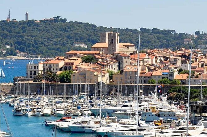 Wine Tasting, Provencal Market, Cannes and St Paul de Vence - Who Will Love This Tour?