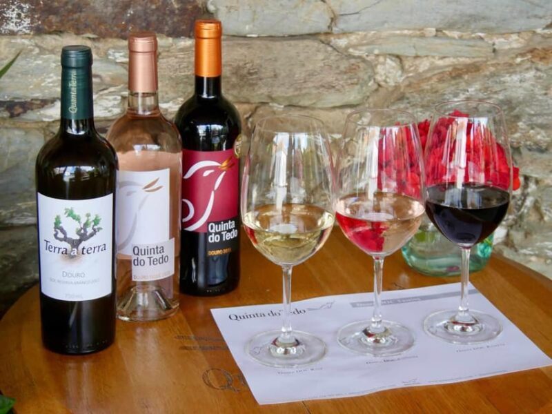 Wine Tasting QT textures of Rosé - Sunset vibe - Practical Details: What You Need to Know