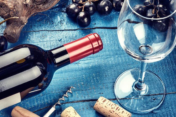 Wine Tasting, Slovenian Wine Story - An In-Depth Look at the Slovenian Wine Tasting Experience