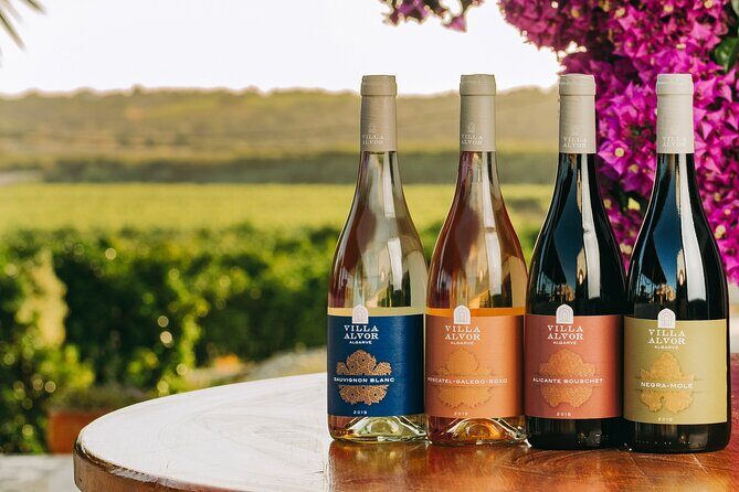 Wine Tasting & Tapas 4x4 Tours - A Unique Blend of Adventure and Taste in the Algarve