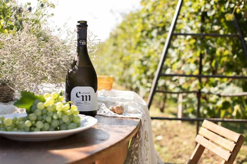 Wine Tasting: the flavors of the Prosecco Hills - The Bottom Line