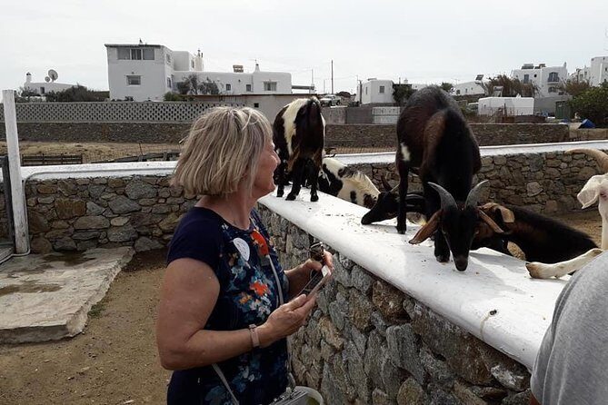 Wine Tasting Tour at a traditional farm in Mykonos - Authenticity and Value