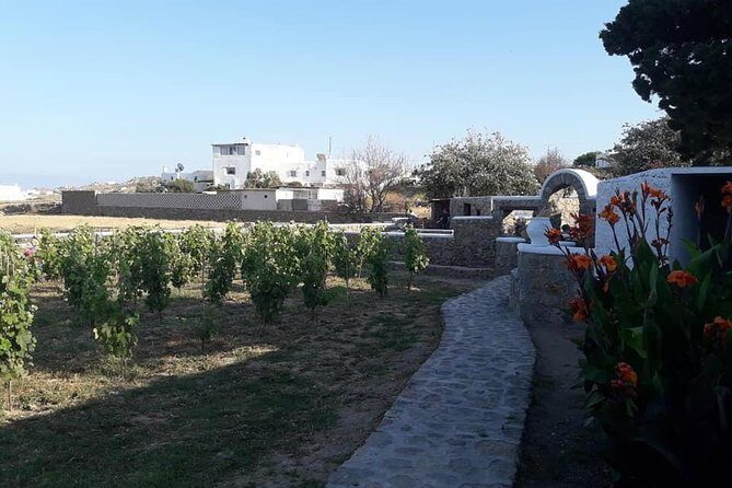 Wine Tasting Tour at a traditional farm in Mykonos - Who Will Love This Tour?