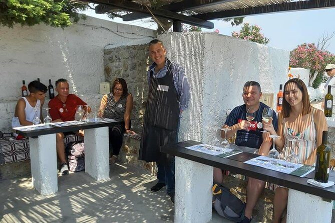 Wine Tasting Tour at a traditional farm in Mykonos - Final Thoughts