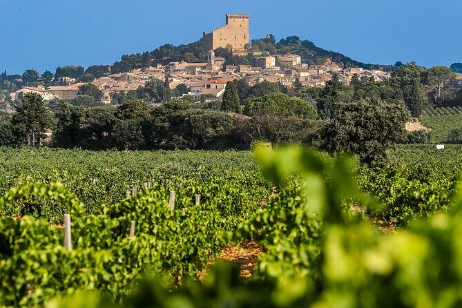 Wine Tasting Tour at Châteauneuf du Pape - A Journey Through the Vineyards of Châteauneuf-du-Pape and Gigondas