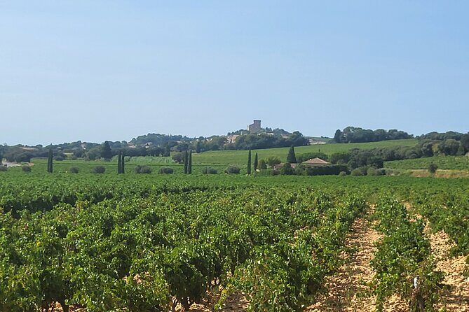 Wine Tasting Tour at Châteauneuf du Pape - Frequently Asked Questions