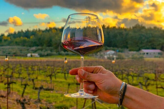 Wine Tasting Tour at Two Wineries in Urla Turkey - A Personal Look at the Wine Tasting Tour at Two Wineries in Urla, Turkey