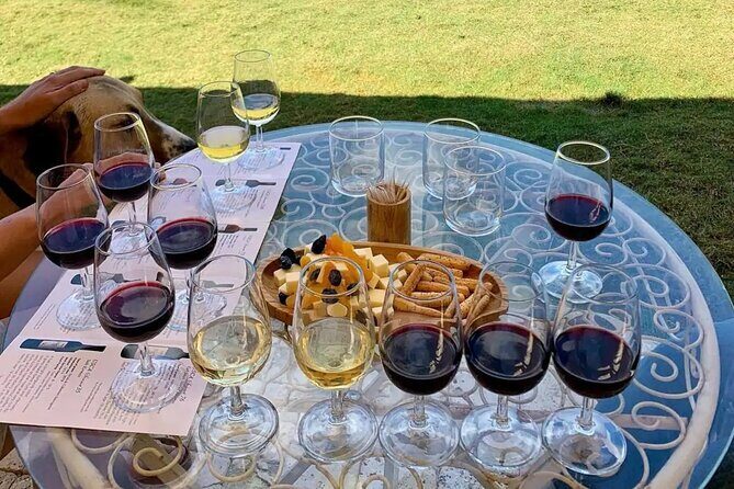 Wine Tasting Tour at Two Wineries in Urla Turkey - Key Points