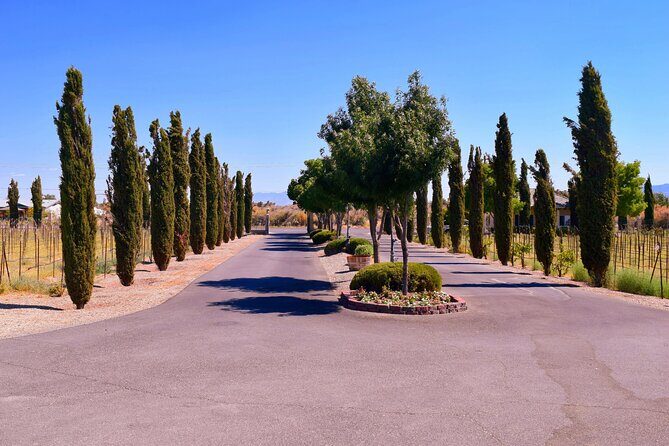 Wine Tasting Tour from Las Vegas with Snacks - The Sum Up