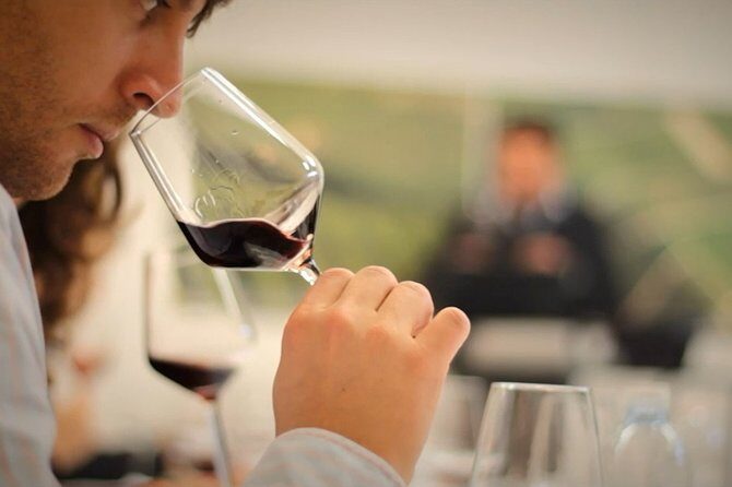 Wine Tasting Tour in Algarve Winery - Final Thoughts